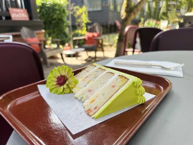 Storied at Home by Aimee Rizzo