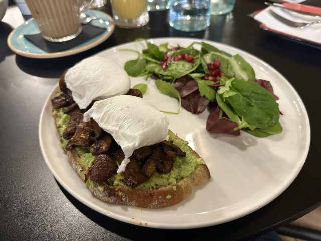 Bargo by Heidi Lauth Beasley