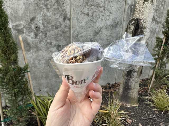 PJ's Classic Homemade Ice Cream & Bon Bons by Aimee Rizzo