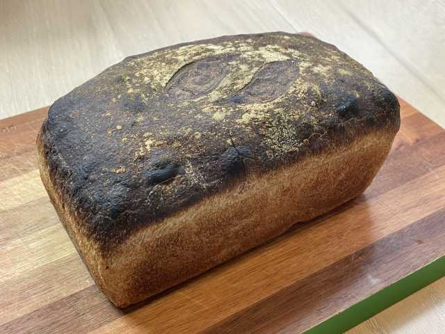 Outerlands by Julia Chen