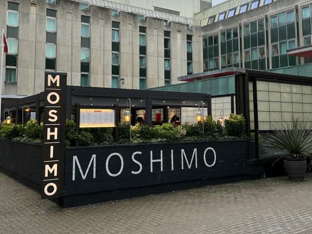 MOSHIMO by Heidi Lauth Beasley