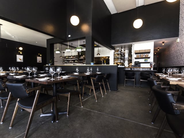 Fiorella Polk by Sarah Felker