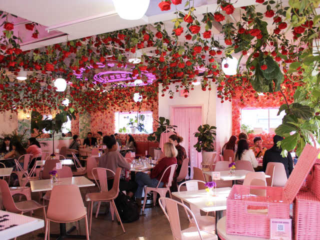 Taquero Mucho by @TheInfatuation