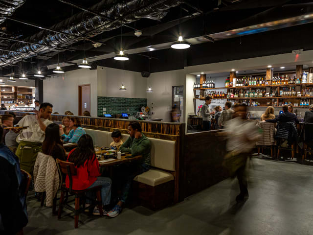 Money Cat by Jenn Duncan