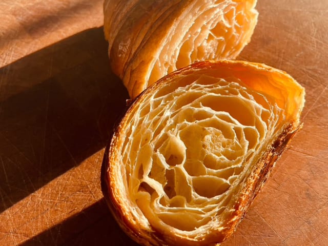 IZOLA by Jeffrey Brown