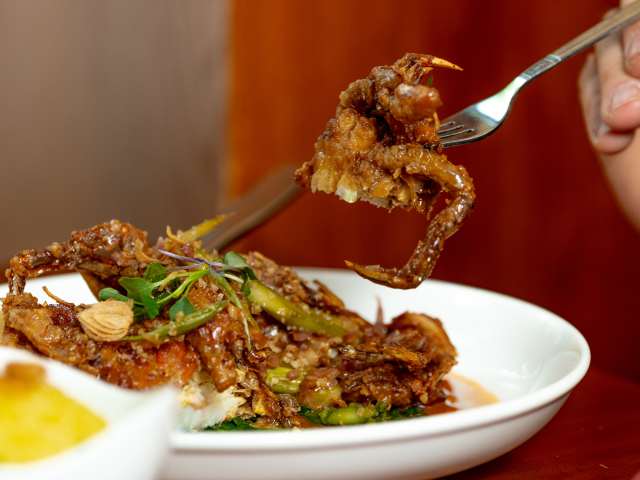 JJ Thai Cuisine by NICOLE GUGLIELMO