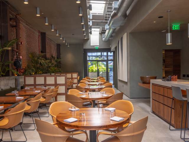 Damian by Jakob Layman