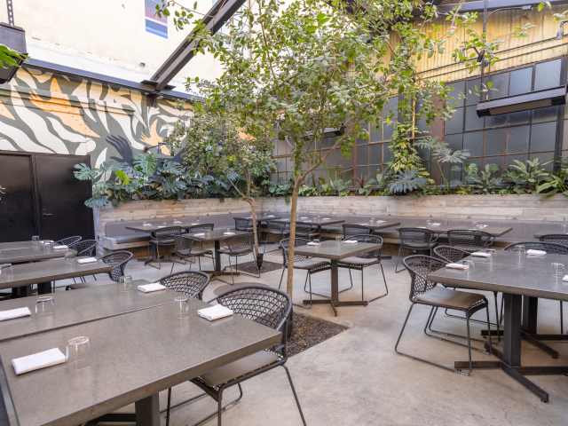 Damian by Jakob Layman