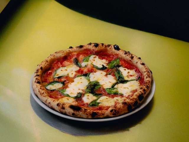 Liona by Jose Miguel Ramirez (@josemiguell)