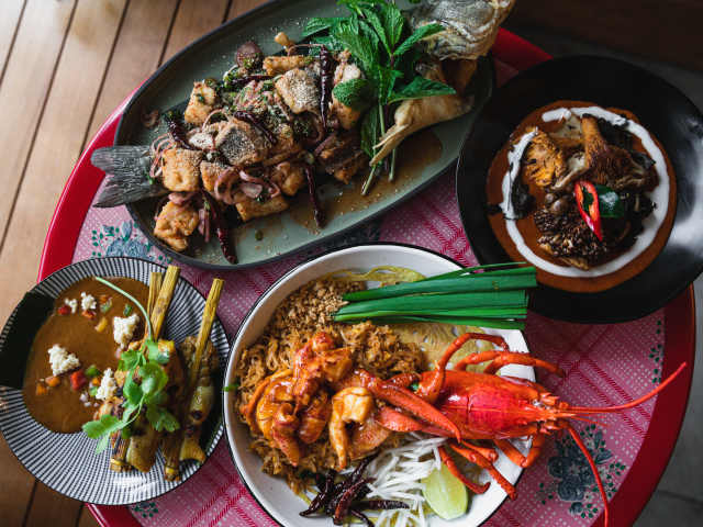 Wayla by Kate Previte