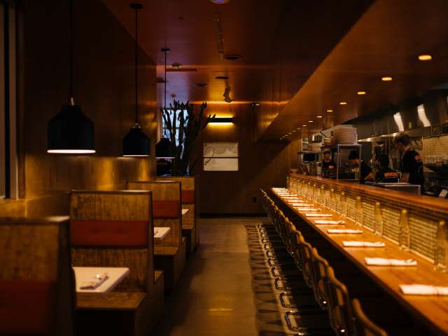 Koyote by McKenzie Tagai