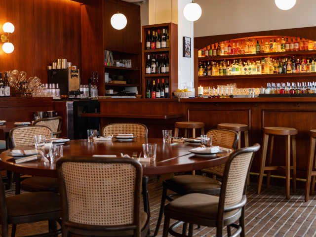 Camelia by Jessie Clapp