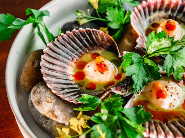 Selva by Jessie Clapp