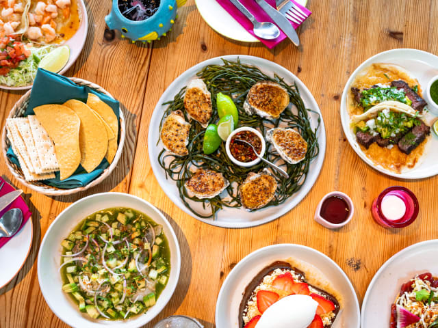 LMNO by NICOLE GUGLIELMO