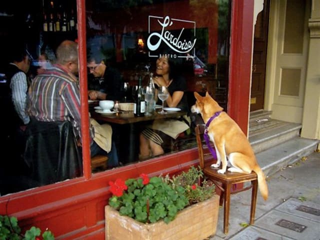 L'Ardoise by L'Ardoise