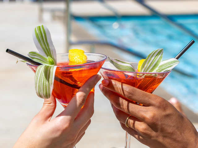 Lee Harvey's Dive In by Lee Harvey's Dive-In