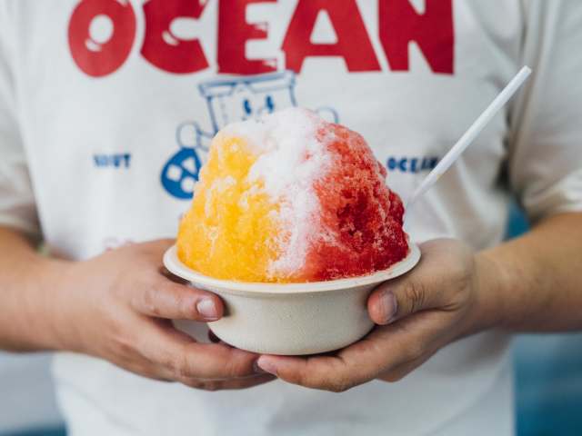 Little Aloha by Erin Ng