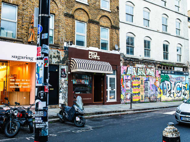 Mad Cats by Aleksandra Boruch