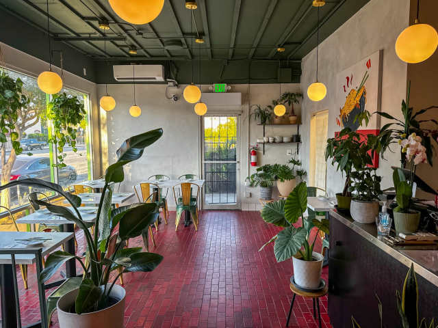 mala class by Mala Class