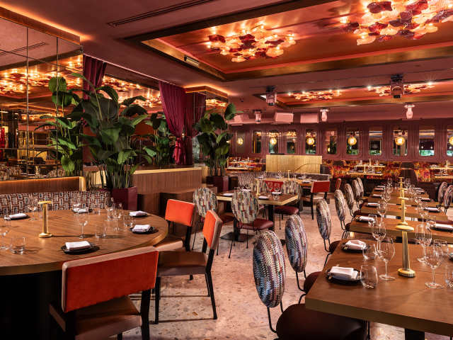 Marion Miami by Craig Denis