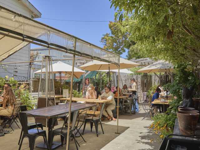 Julie's Coffee & Tea Garden by Melissa Zink