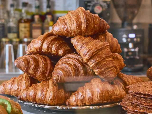 Milo & Olive by Lexie Scott