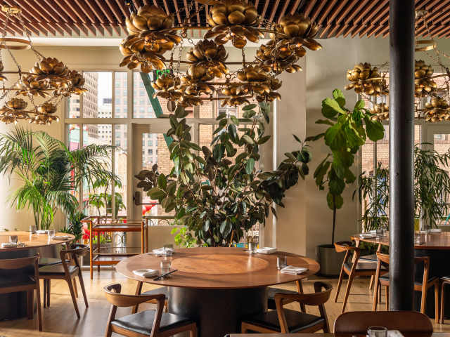 Mister Jiu's by Carly Hackbarth