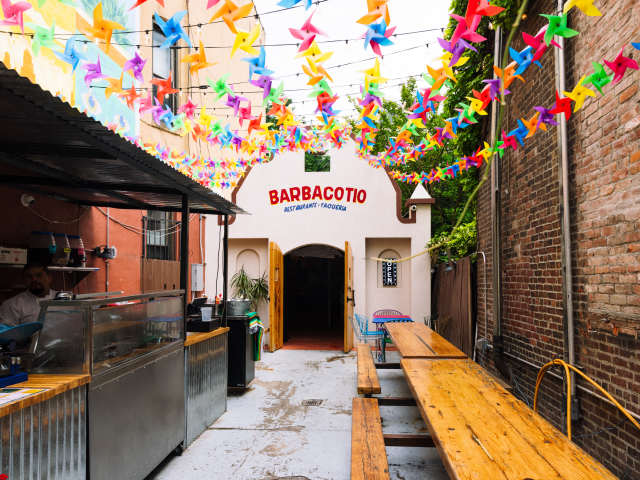 Barbaco Tio by Kate Previte