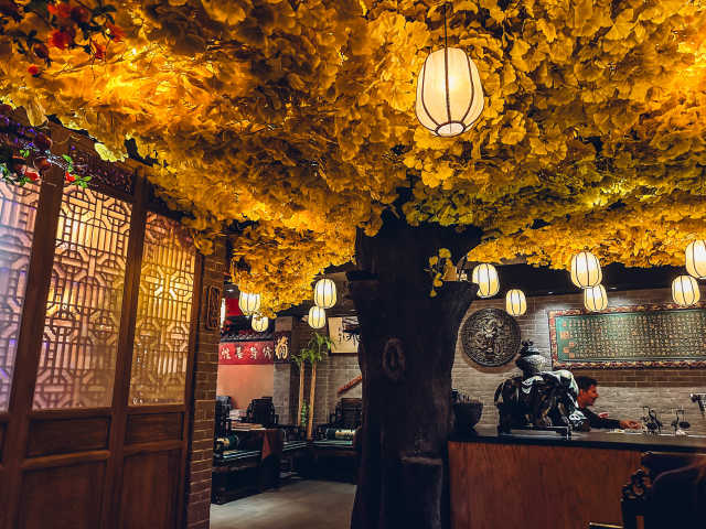 BODAI 菩提 Vegan by Molly Fitzpatrick