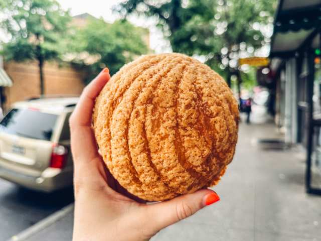 Masa Madre by Molly Fitzpatrick