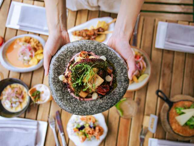 Jora by David A. Lee