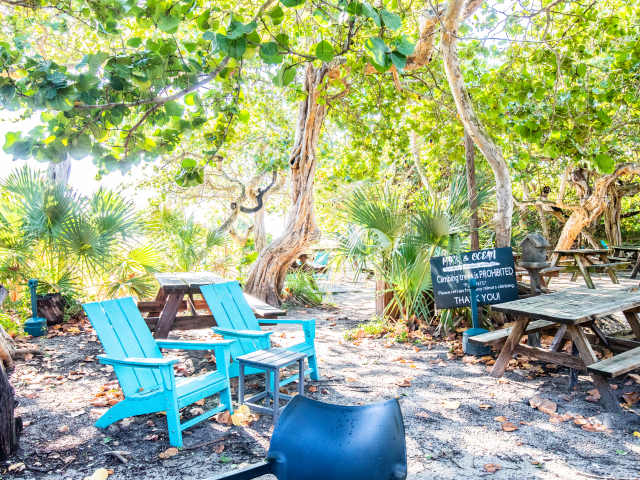 Hugh Taylor Birch State Park by Cleveland Jennings / @eatthecanvasllc