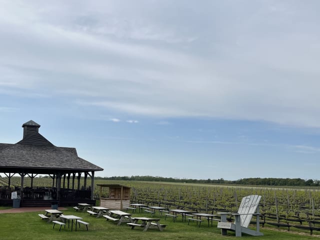 Pindar Vineyards by Anne Cruz