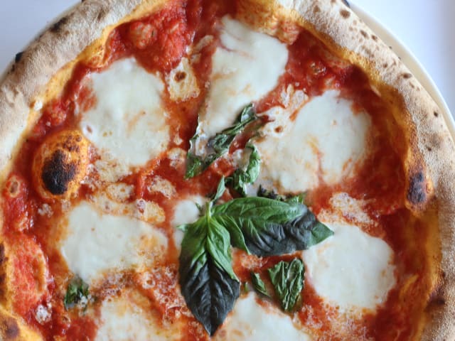 Pricci by Hannah Jimerson