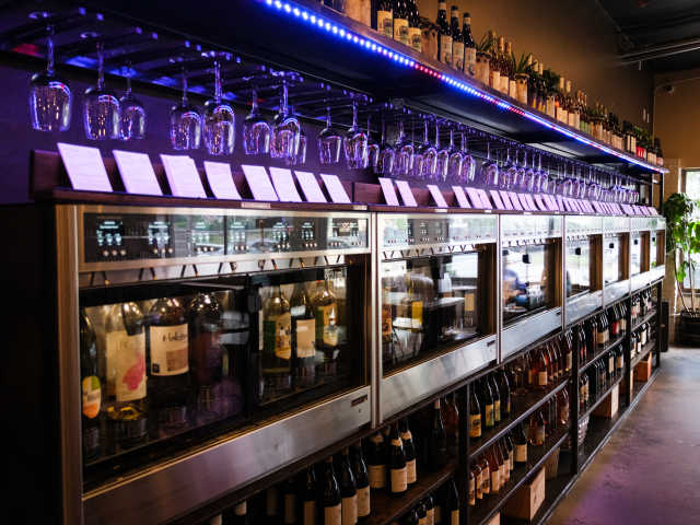 Roots by Quit Nguyen