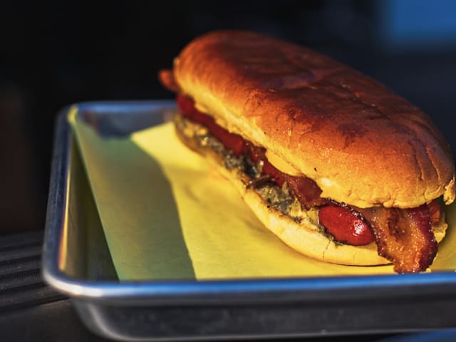 Trick Dog by Quik Dog