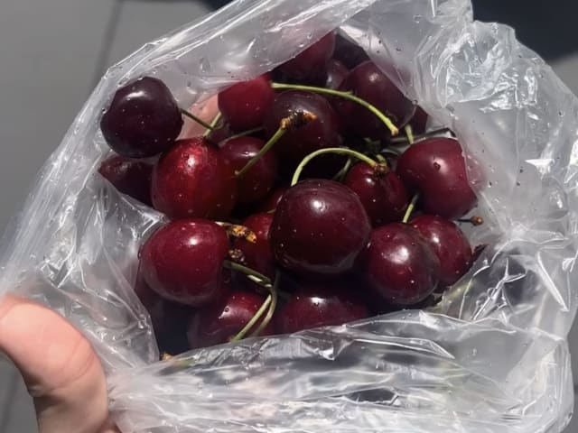 Tucker Square Greenmarket by Infatuation - Reviews