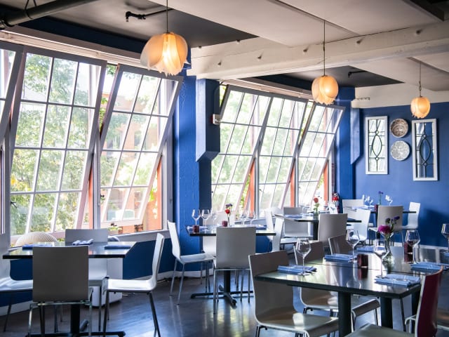 Shama by Nate Watters