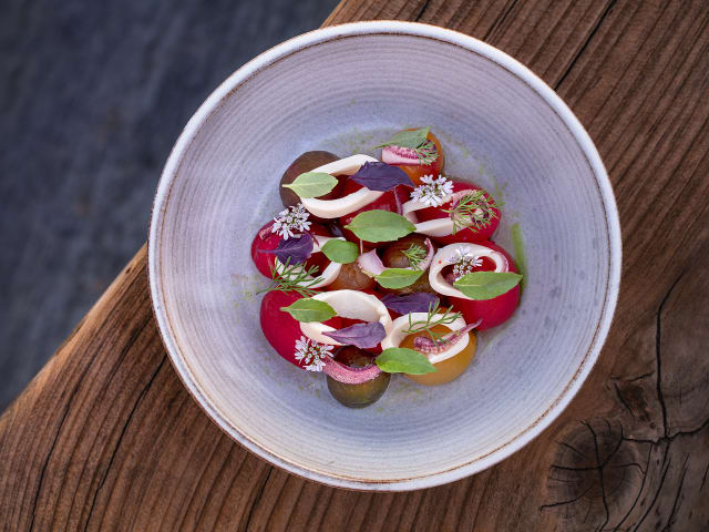 Sierra Mar by Allison Green