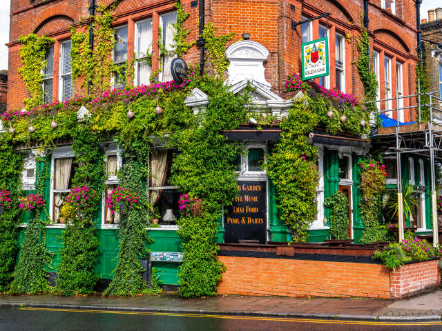 Skehans by Koray Firat