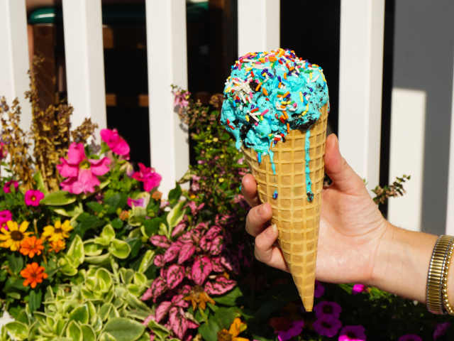 Springer's Homemade Ice Cream by Caroline Corbo