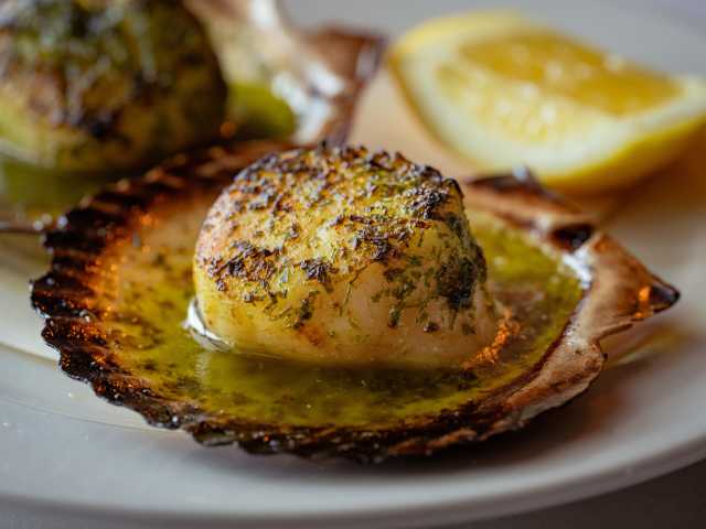 Stissing House by David A. Lee