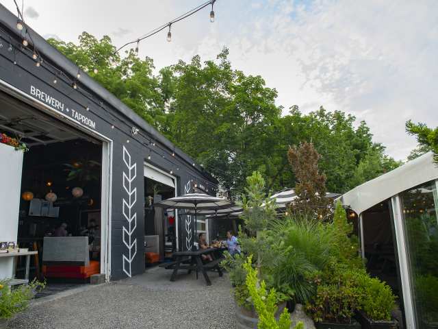 Subversive Malting & Brewing by Meghan Spiro