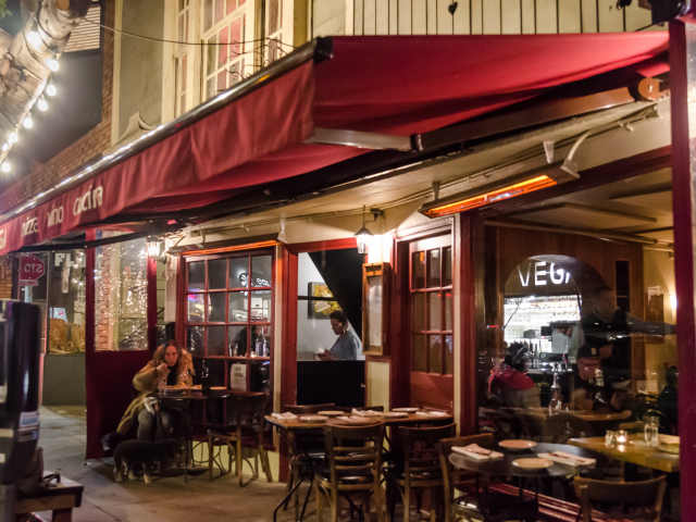 Vega by Susie Lacocque