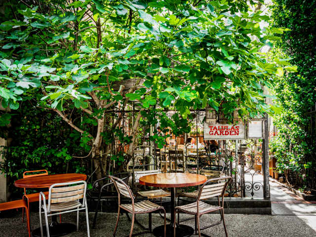 Talula's Garden by NICOLE GUGLIELMO