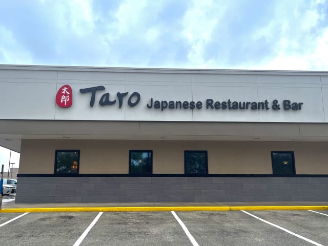 Taro by Gianni Greene