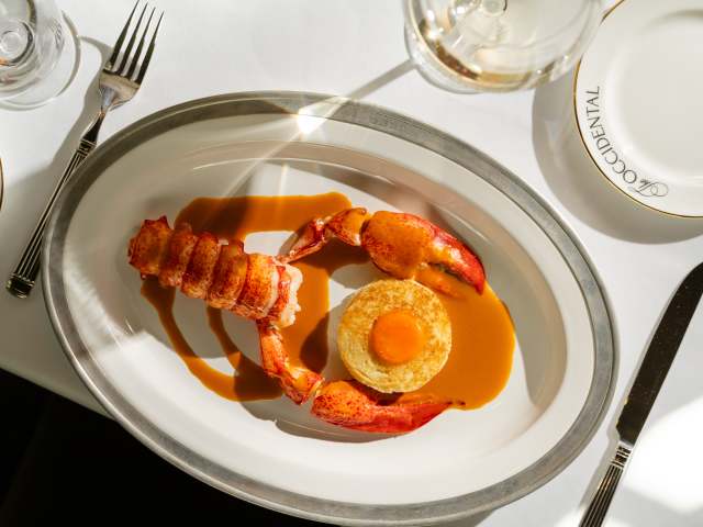 The Occidental by Birch Thomas