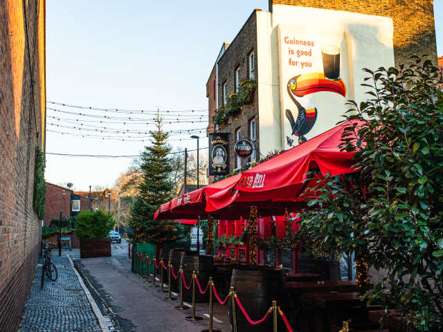 The Dog & Bell by Aleksandra Boruch