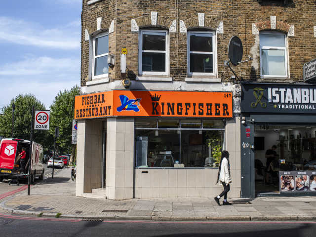 The Kingfisher by Aleksandra Boruch