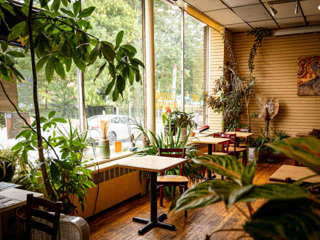 The Nile Cafe by Nicole Guglielmo